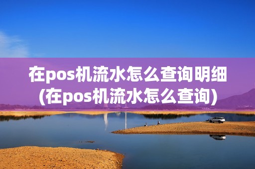 在pos机流水怎么查询明细(在pos机流水怎么查询)