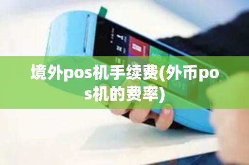 境外pos机手续费(外币pos机的费率)