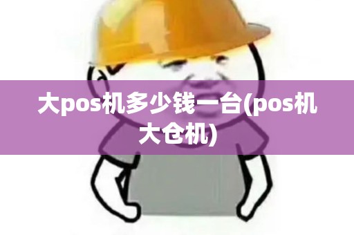 大pos机多少钱一台(pos机大仓机)