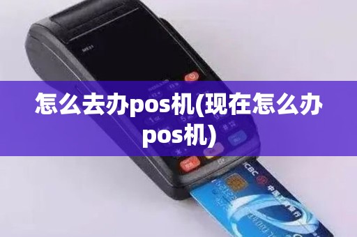 怎么去办pos机(现在怎么办pos机)