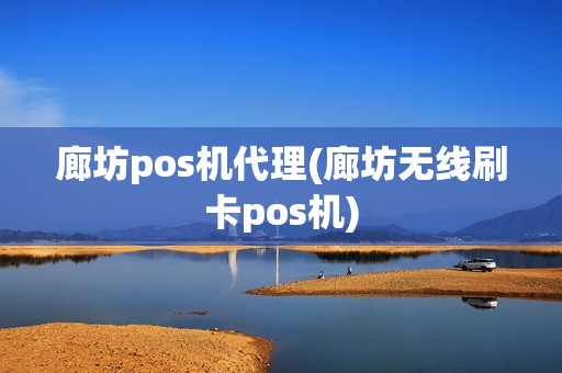 廊坊pos机代理(廊坊无线刷卡pos机)