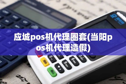应城pos机代理圈套(当阳pos机代理造假)