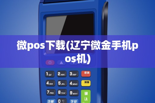 微pos下载(辽宁微金手机pos机)