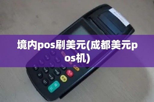 境内pos刷美元(成都美元pos机)