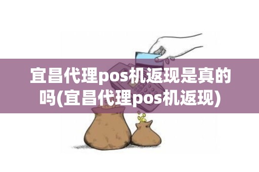 宜昌代理pos机返现是真的吗(宜昌代理pos机返现)