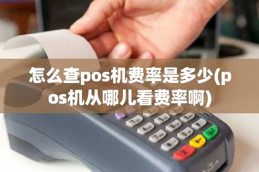 怎么查pos机费率是多少(pos机从哪儿看费率啊)