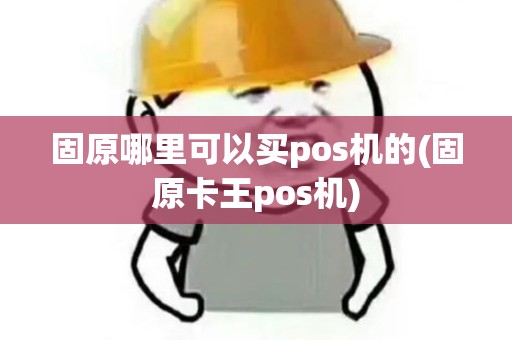 固原哪里可以买pos机的(固原卡王pos机)