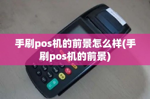 手刷pos机的前景怎么样(手刷pos机的前景)