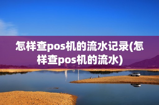 怎样查pos机的流水记录(怎样查pos机的流水)