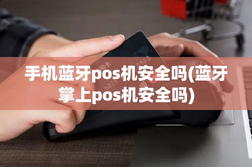 手机蓝牙pos机安全吗(蓝牙掌上pos机安全吗)