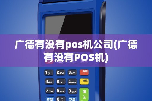 广德有没有pos机公司(广德有没有POS机)
