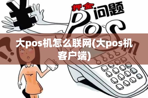 大pos机怎么联网(大pos机客户端)