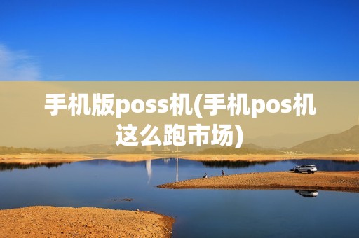 手机版poss机(手机pos机这么跑市场)