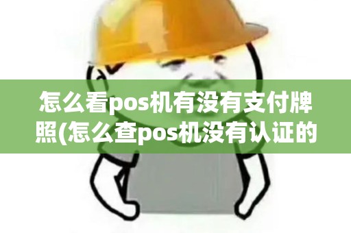怎么看pos机有没有支付牌照(怎么查pos机没有认证的)