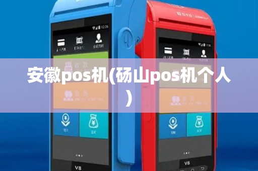 安徽pos机(砀山pos机个人)
