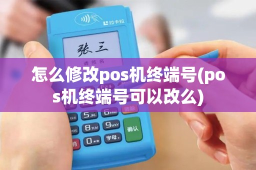 怎么修改pos机终端号(pos机终端号可以改么)