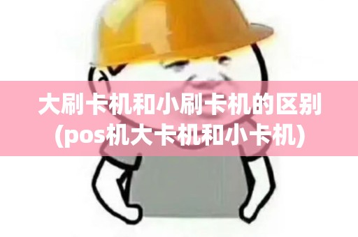 大刷卡机和小刷卡机的区别(pos机大卡机和小卡机)