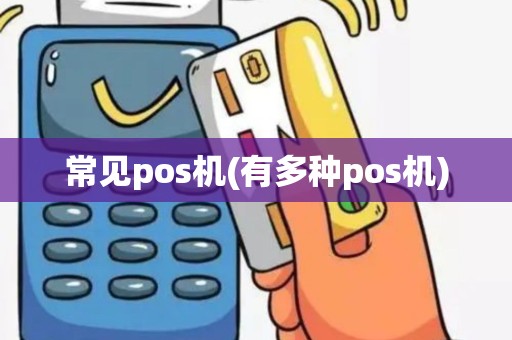 常见pos机(有多种pos机)