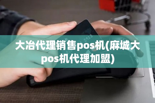 大冶代理销售pos机(麻城大pos机代理加盟)