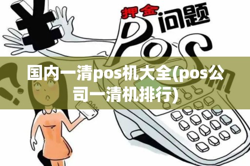 国内一清pos机大全(pos公司一清机排行)