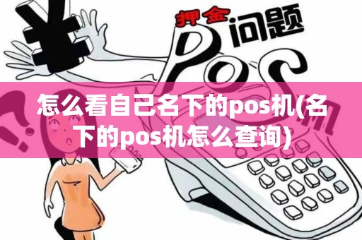 怎么看自己名下的pos机(名下的pos机怎么查询)