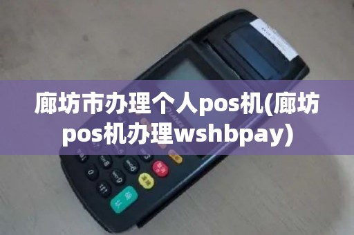 廊坊市办理个人pos机(廊坊pos机办理wshbpay)