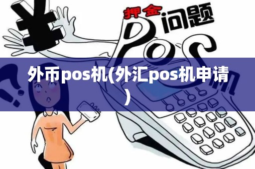 外币pos机(外汇pos机申请)