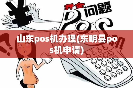 山东pos机办理(东明县pos机申请)