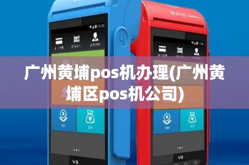 广州黄埔pos机办理(广州黄埔区pos机公司)