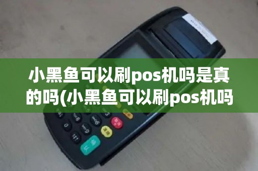 小黑鱼可以刷pos机吗是真的吗(小黑鱼可以刷pos机吗)