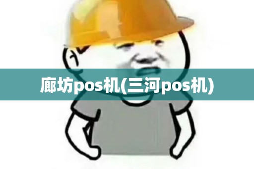 廊坊pos机(三河pos机)