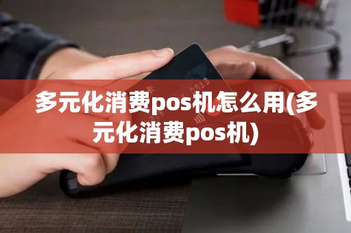 多元化消费pos机怎么用(多元化消费pos机)