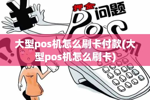 大型pos机怎么刷卡付款(大型pos机怎么刷卡)