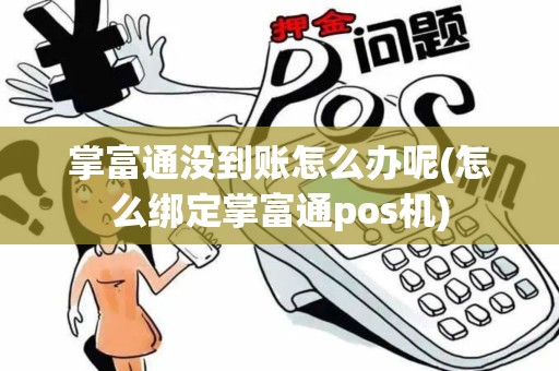 掌富通没到账怎么办呢(怎么绑定掌富通pos机)