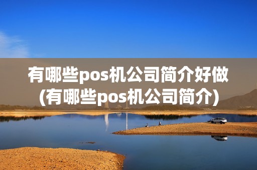 有哪些pos机公司简介好做(有哪些pos机公司简介)