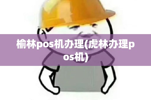 榆林pos机办理(虎林办理pos机)