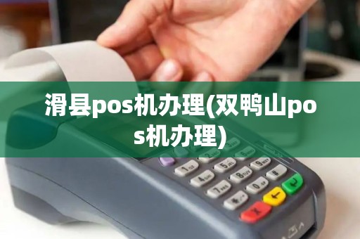 滑县pos机办理(双鸭山pos机办理)