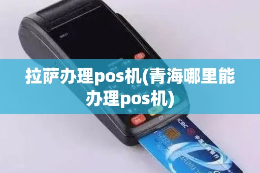 拉萨办理pos机(青海哪里能办理pos机)