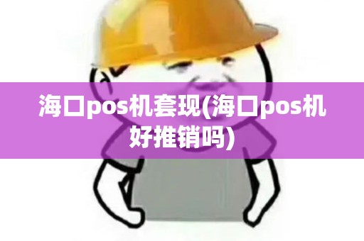 海口pos机套现(海口pos机好推销吗)
