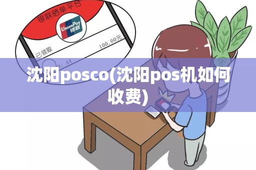 沈阳posco(沈阳pos机如何收费)