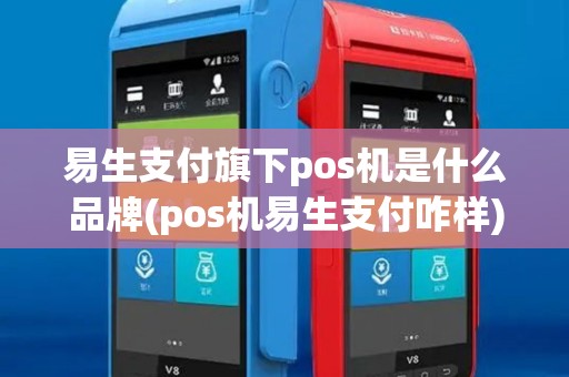 易生支付旗下pos机是什么品牌(pos机易生支付咋样)