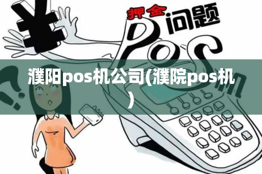 濮阳pos机公司(濮院pos机)