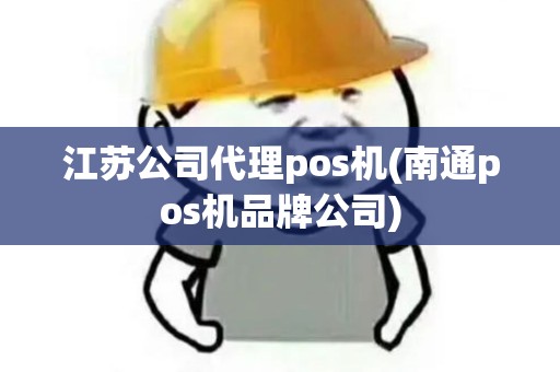 江苏公司代理pos机(南通pos机品牌公司)