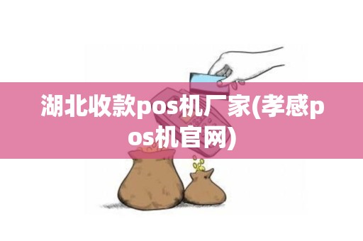 湖北收款pos机厂家(孝感pos机官网)