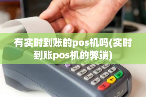 有实时到账的pos机吗(实时到账pos机的弊端)