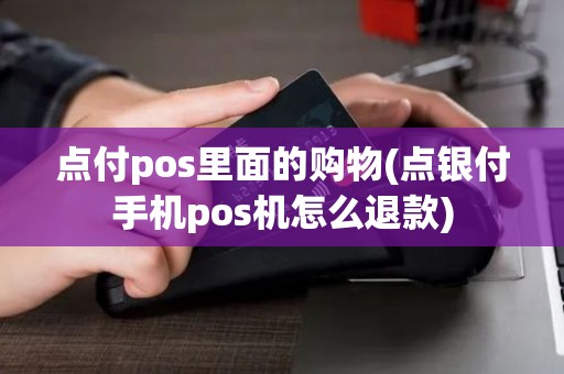 点付pos里面的购物(点银付手机pos机怎么退款)