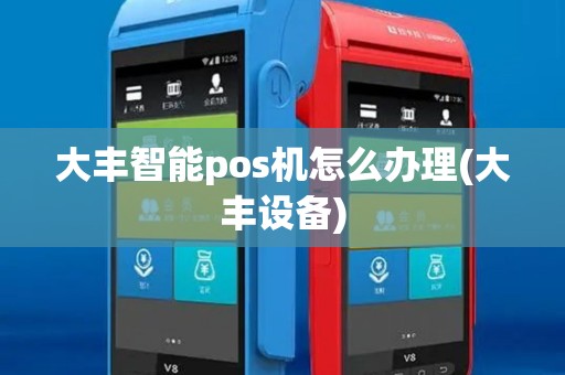 大丰智能pos机怎么办理(大丰设备)