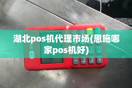 湖北pos机代理市场(恩施哪家pos机好)