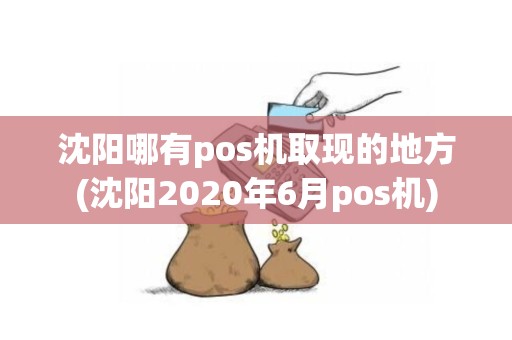 沈阳哪有pos机取现的地方(沈阳2020年6月pos机)