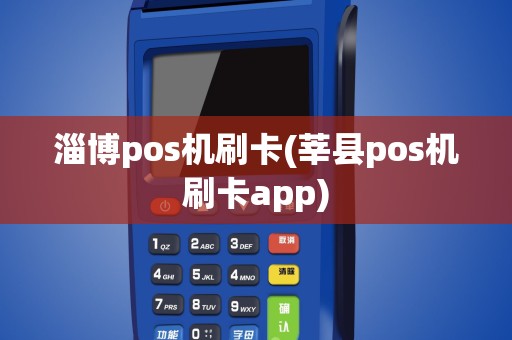 淄博pos机刷卡(莘县pos机刷卡app)